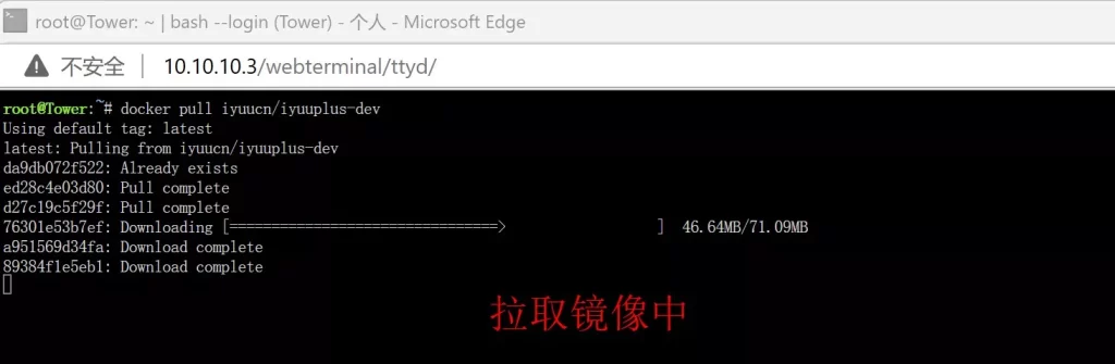UnRaid的Docker安装IYUU辅种工具 UnRaid的Docker安装IYUU辅种工具